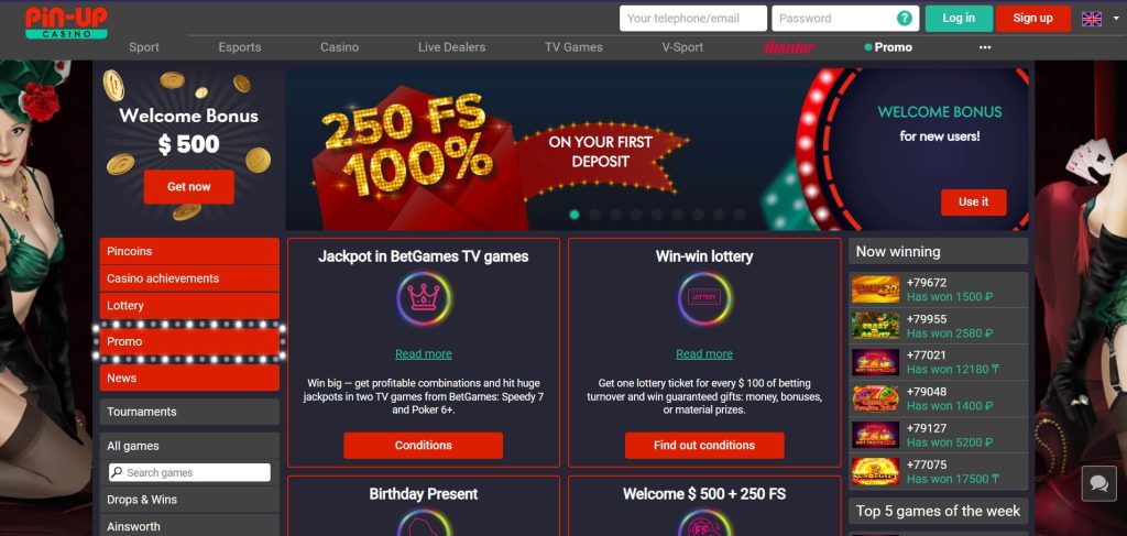 Pinup casino offers